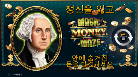 와일드 픽시스