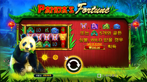 가톳 카카's 퓨리